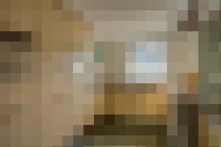 Standaardmolen 22 Capelle aan den IJssel thumbnail 10
