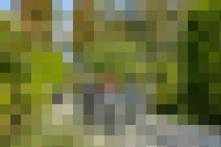 Standaardmolen 22 Capelle aan den IJssel thumbnail 23