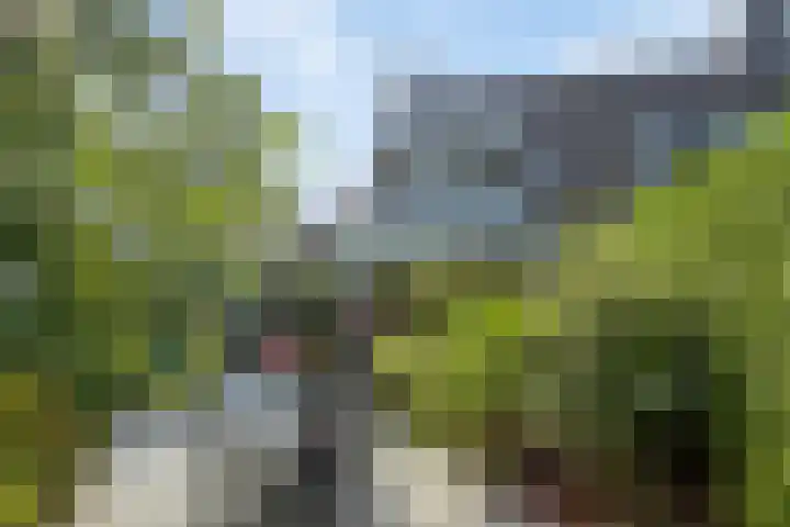 Standaardmolen 22 Capelle aan den IJssel thumbnail 24