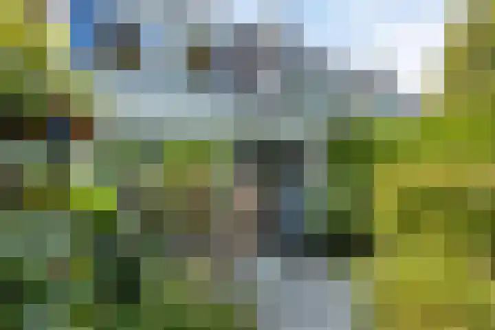 Standaardmolen 22 Capelle aan den IJssel thumbnail 25