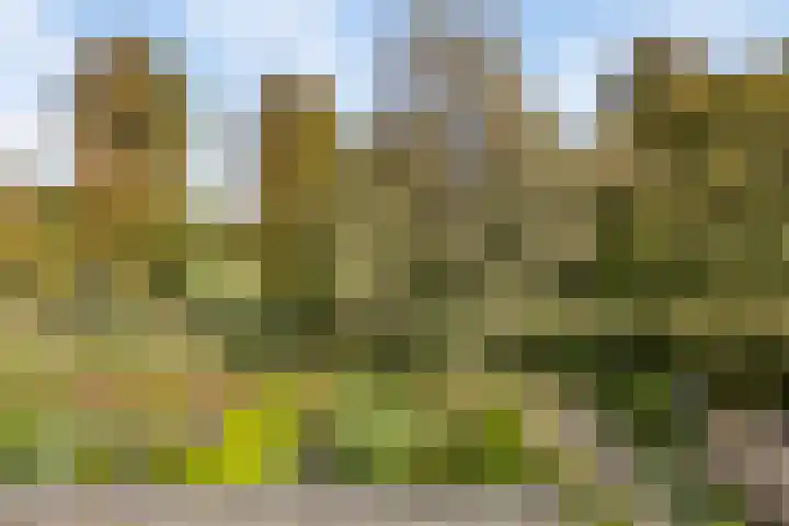 Standaardmolen 22 Capelle aan den IJssel thumbnail 26