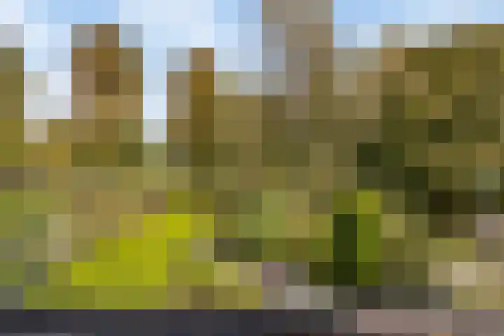 Standaardmolen 22 Capelle aan den IJssel thumbnail 27