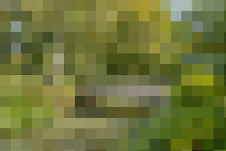 Standaardmolen 22 Capelle aan den IJssel thumbnail 28