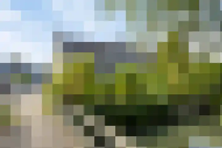 Standaardmolen 22 Capelle aan den IJssel thumbnail 29