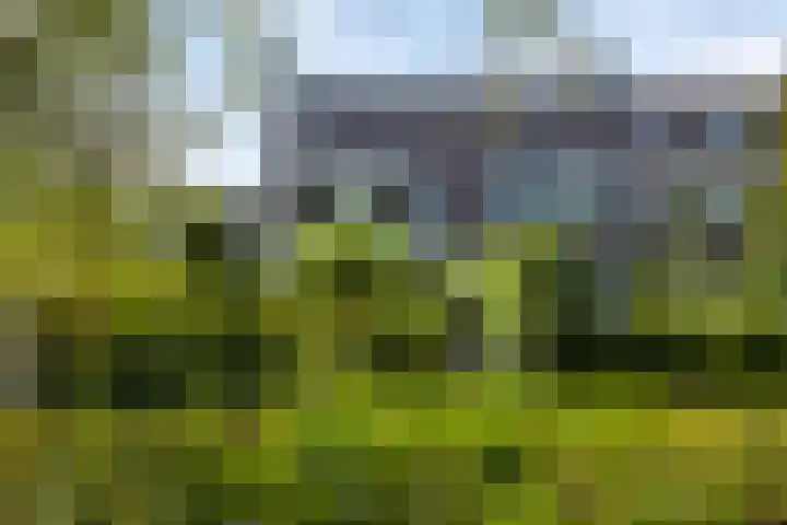 Standaardmolen 22 Capelle aan den IJssel thumbnail 30