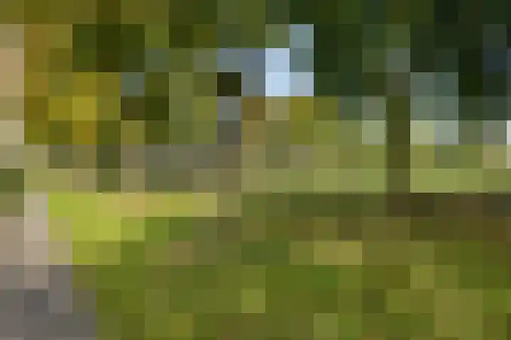 Standaardmolen 22 Capelle aan den IJssel thumbnail 31