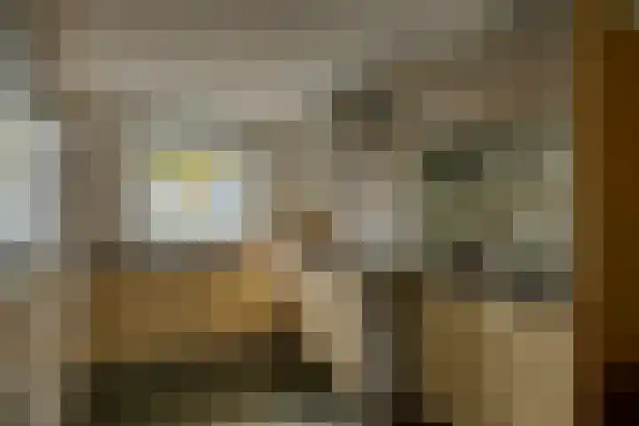 Standaardmolen 22 Capelle aan den IJssel thumbnail 9