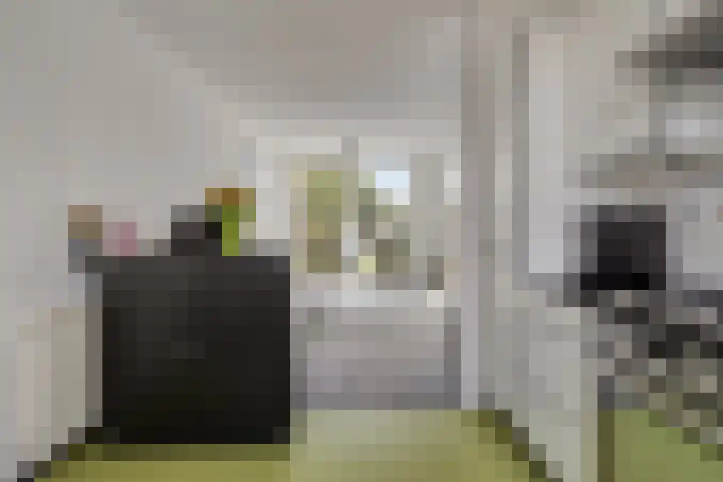 Standaardmolen 4 Alphen aan den Rijn thumbnail 16