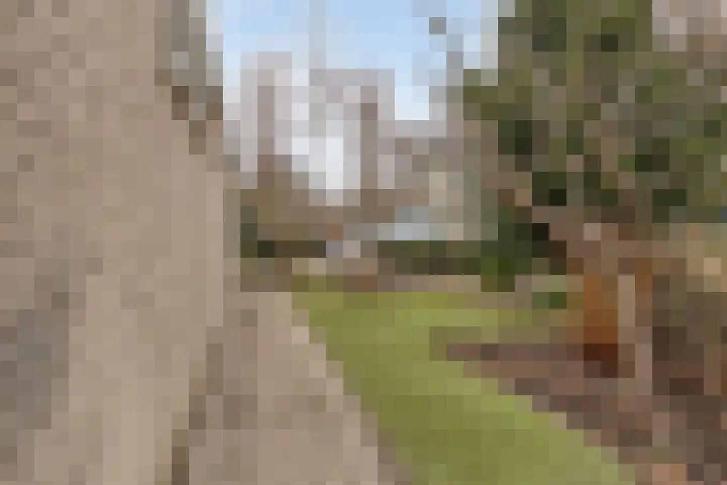Standaardmolen 4 Alphen aan den Rijn thumbnail 18