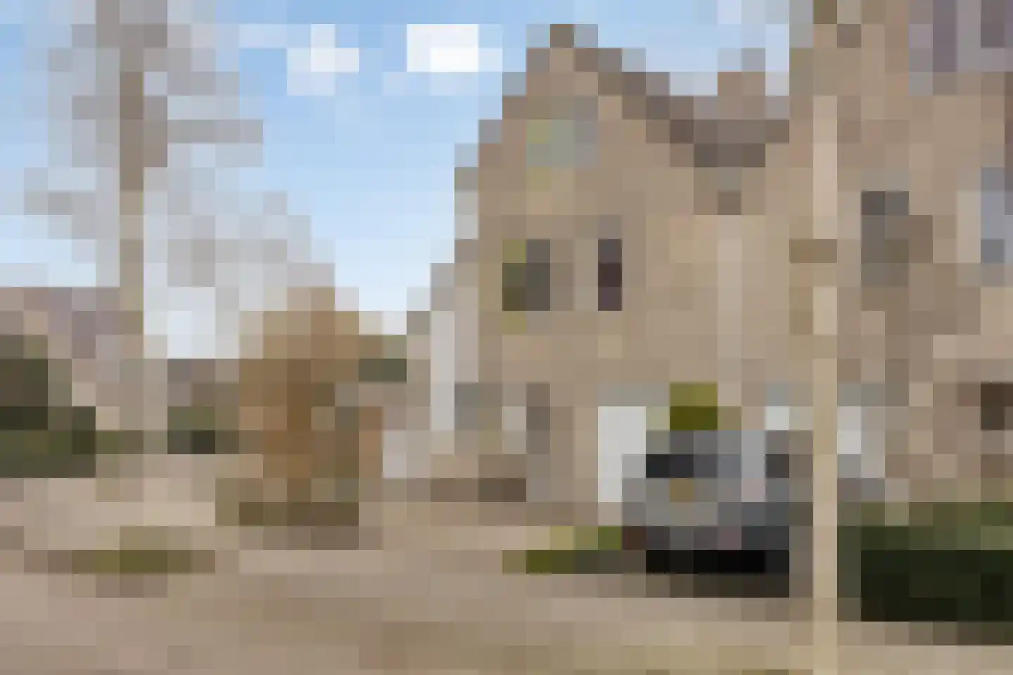 Standaardmolen 4 Alphen aan den Rijn thumbnail 4