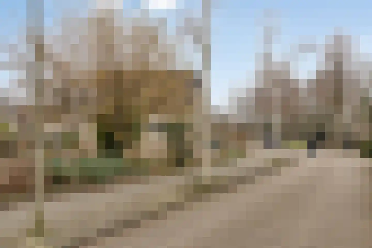Standaardmolen 4 Alphen aan den Rijn thumbnail 44