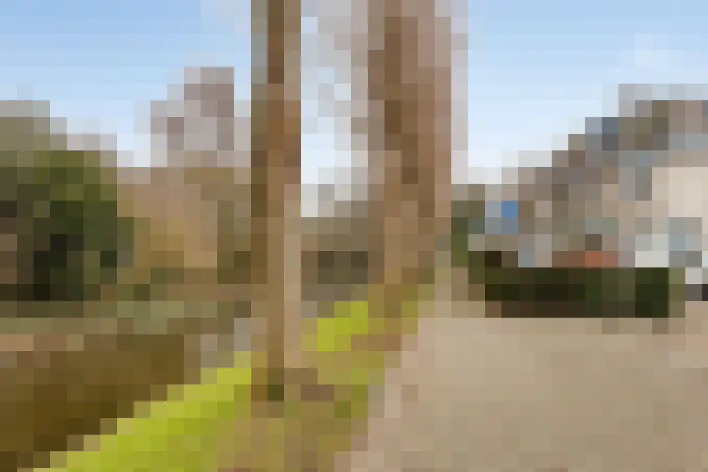 Standaardmolen 4 Alphen aan den Rijn thumbnail 45