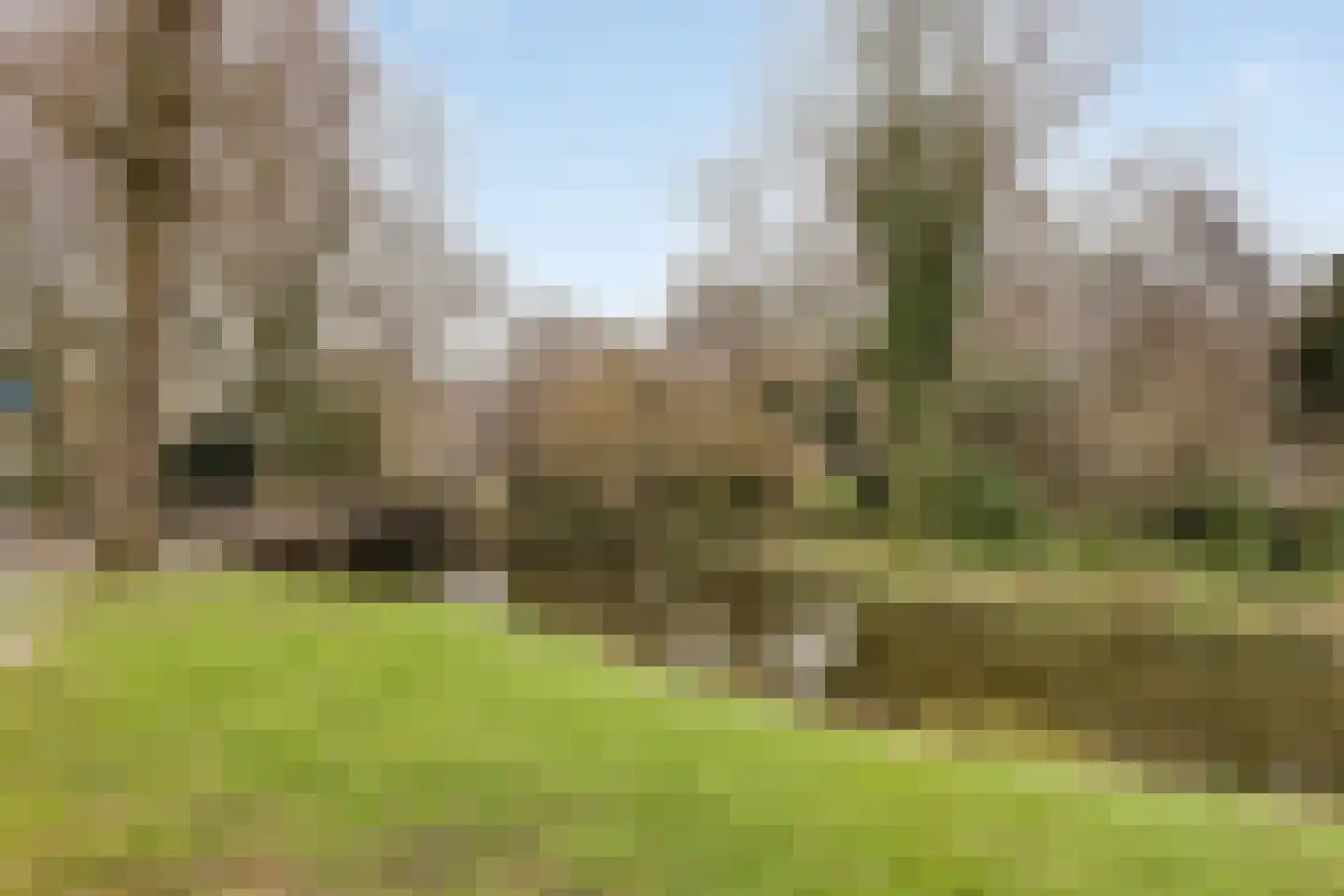 Standaardmolen 4 Alphen aan den Rijn thumbnail 46