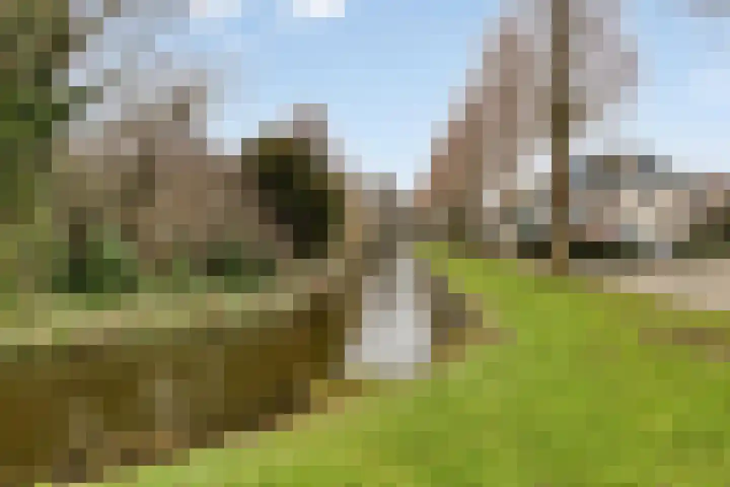 Standaardmolen 4 Alphen aan den Rijn thumbnail 47