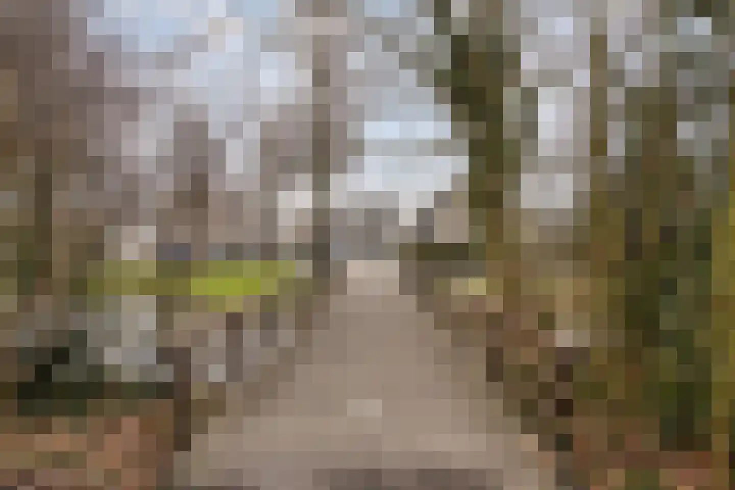 Standaardmolen 4 Alphen aan den Rijn thumbnail 48