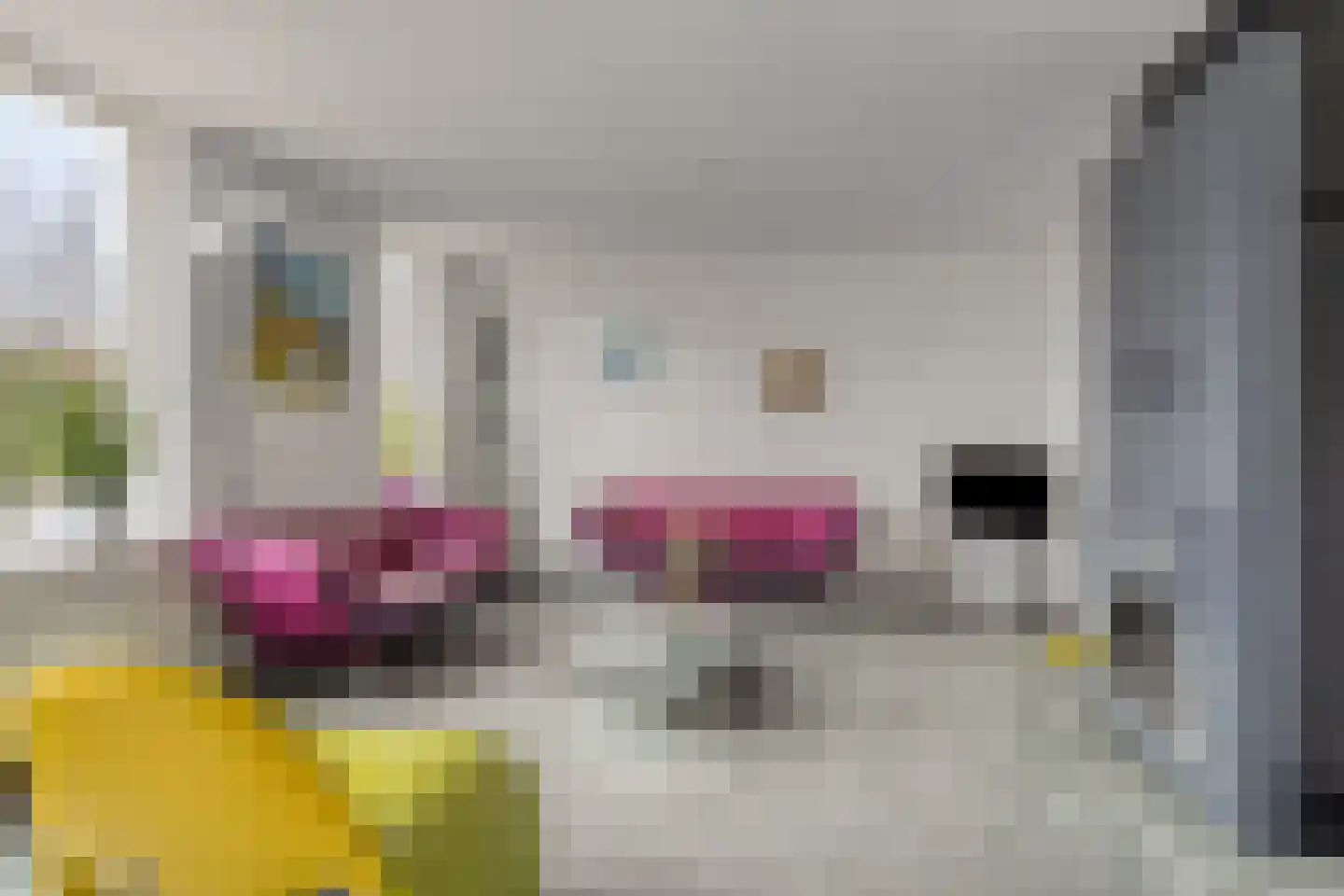 Standaardmolen 4 Alphen aan den Rijn thumbnail 8