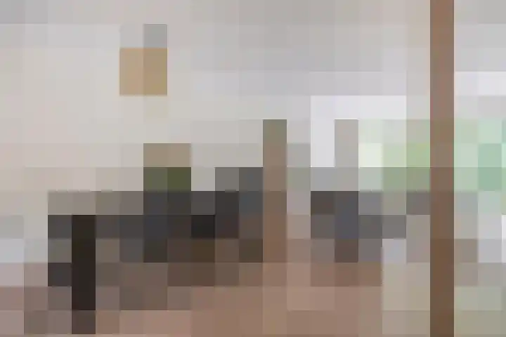 Standaardmolen 52 Capelle aan den IJssel thumbnail 12