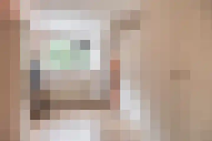 Standaardmolen 52 Capelle aan den IJssel thumbnail 30