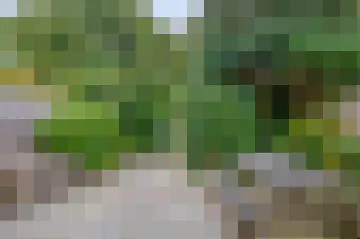 Standaardmolen 52 Capelle aan den IJssel thumbnail 36