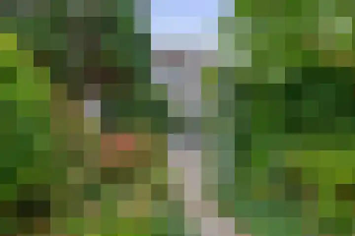 Standaardmolen 52 Capelle aan den IJssel thumbnail 37