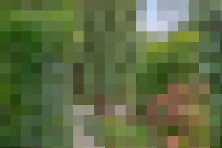 Standaardmolen 52 Capelle aan den IJssel thumbnail 38