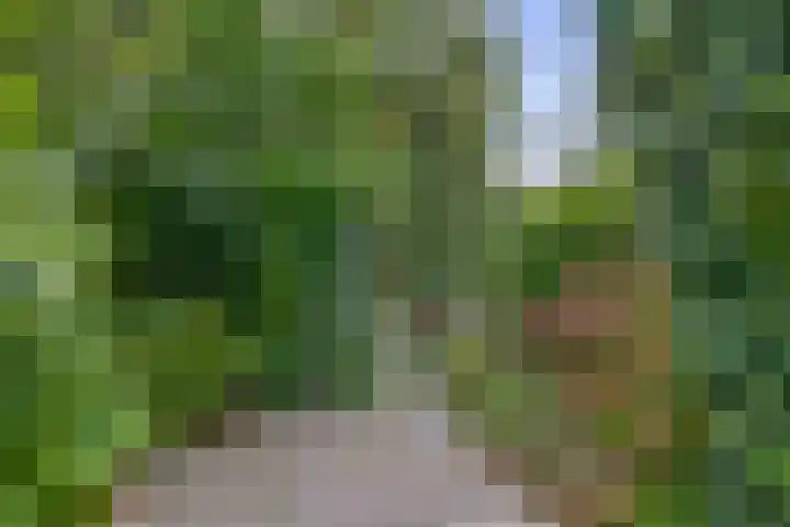 Standaardmolen 52 Capelle aan den IJssel thumbnail 39