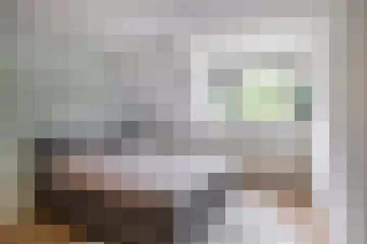 Standaardmolen 52 Capelle aan den IJssel thumbnail 4