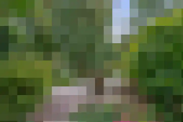 Standaardmolen 52 Capelle aan den IJssel thumbnail 40