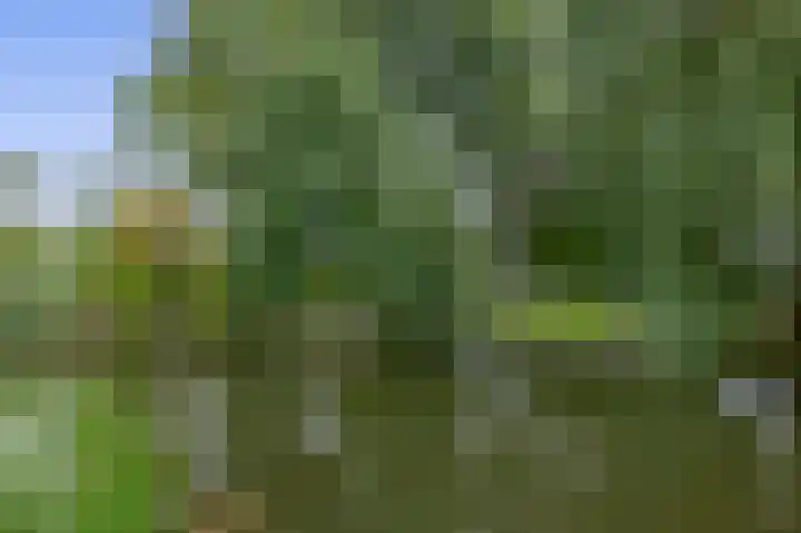 Standaardmolen 52 Capelle aan den IJssel thumbnail 41