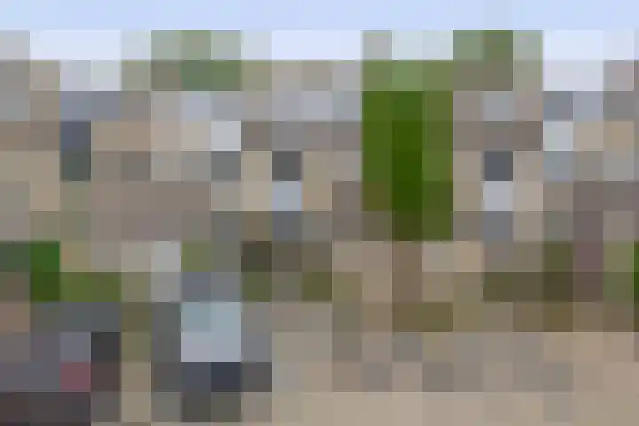 Standaardmolen 52 Capelle aan den IJssel thumbnail 42