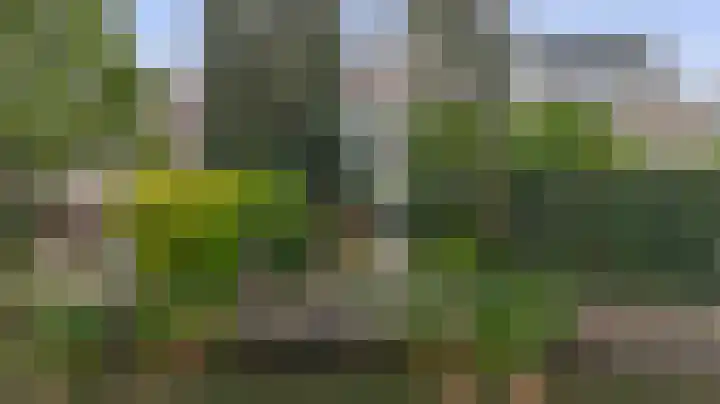 Standaardmolen 52 Capelle aan den IJssel thumbnail 5