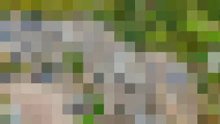 Standaardmolen 52 Capelle aan den IJssel thumbnail 6