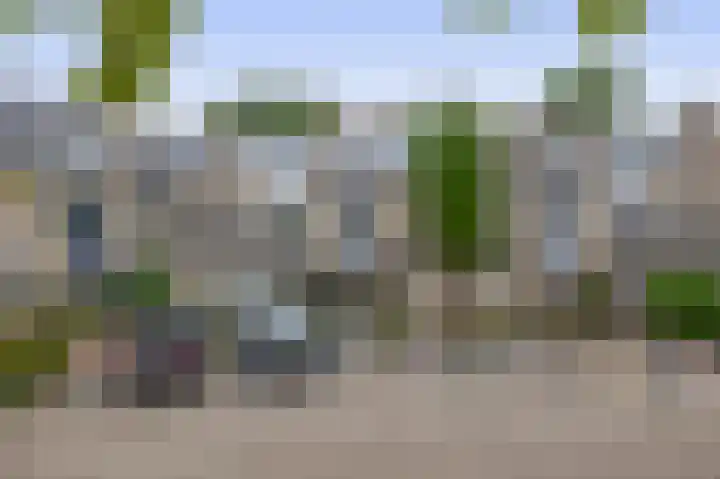 Standaardmolen 52 Capelle aan den IJssel thumbnail 7