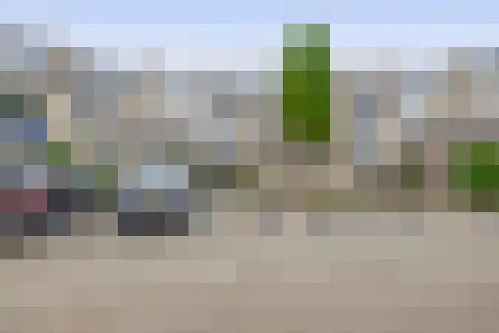 Standaardmolen 52 Capelle aan den IJssel thumbnail 8