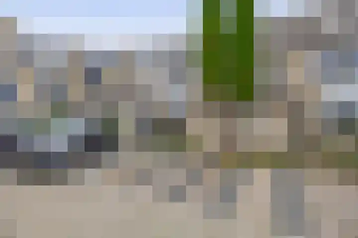 Standaardmolen 52 Capelle aan den IJssel thumbnail 9