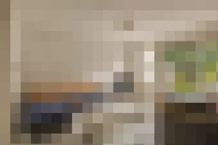 Standaardmolen 53 Capelle aan den IJssel thumbnail 10