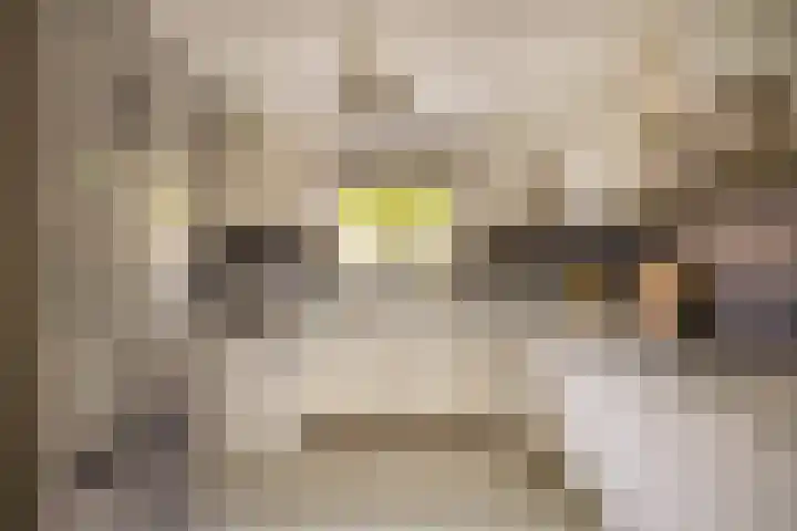 Standaardmolen 53 Capelle aan den IJssel thumbnail 13
