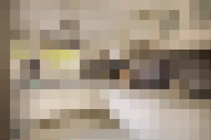 Standaardmolen 53 Capelle aan den IJssel thumbnail 14