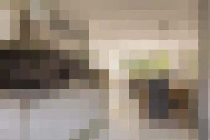Standaardmolen 53 Capelle aan den IJssel thumbnail 15