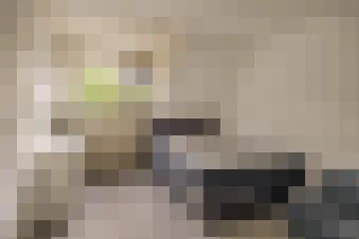 Standaardmolen 53 Capelle aan den IJssel thumbnail 17