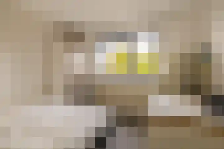 Standaardmolen 53 Capelle aan den IJssel thumbnail 23