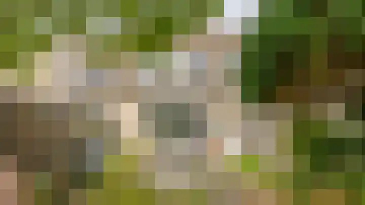 Standaardmolen 53 Capelle aan den IJssel thumbnail 28