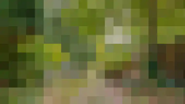 Standaardmolen 53 Capelle aan den IJssel thumbnail 30