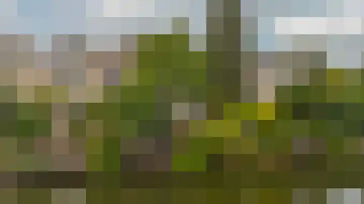Standaardmolen 53 Capelle aan den IJssel thumbnail 31