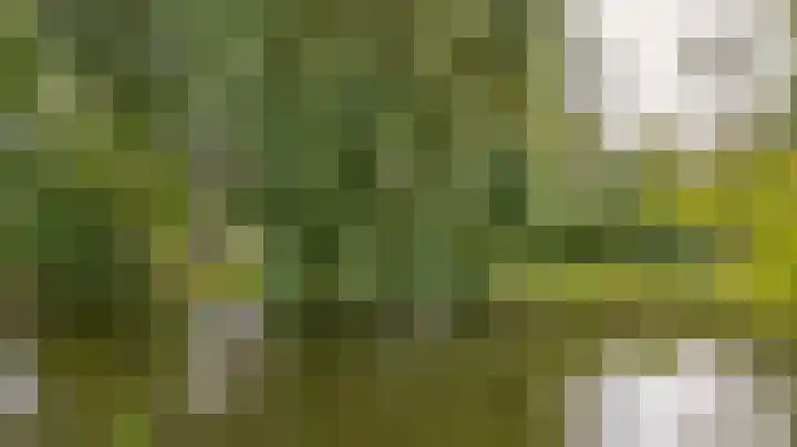 Standaardmolen 53 Capelle aan den IJssel thumbnail 32