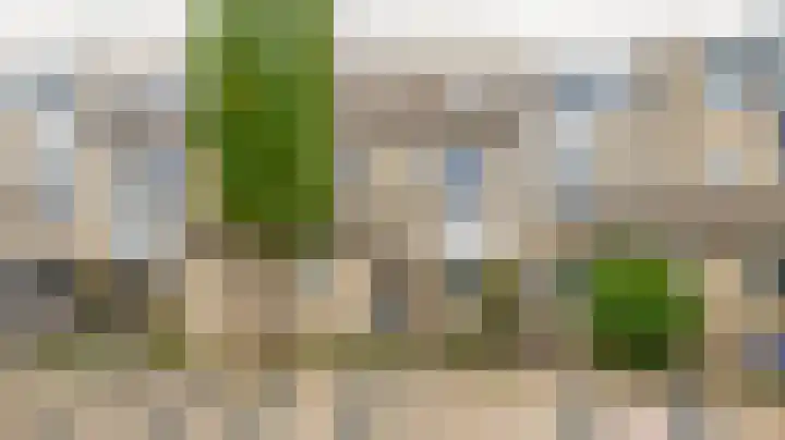 Standaardmolen 53 Capelle aan den IJssel thumbnail 33