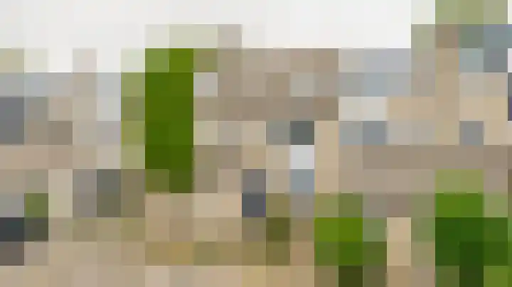 Standaardmolen 53 Capelle aan den IJssel thumbnail 34
