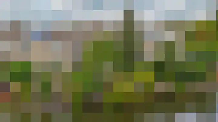 Standaardmolen 53 Capelle aan den IJssel thumbnail 36