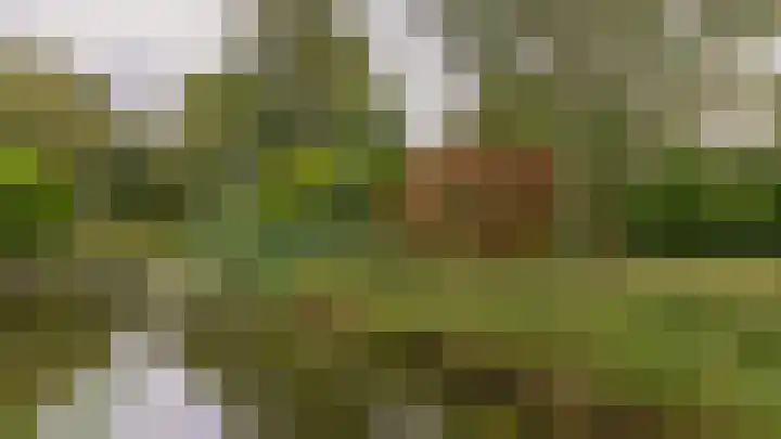 Standaardmolen 53 Capelle aan den IJssel thumbnail 37