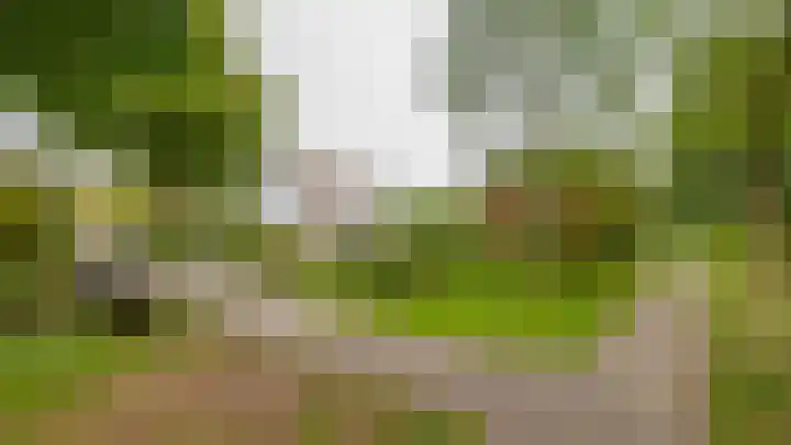 Standaardmolen 53 Capelle aan den IJssel thumbnail 38